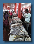 72 Lautoka Fish Market